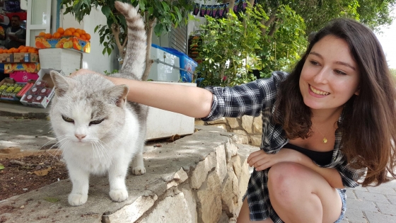 13217128_996442043806929_4272799363439332355_o