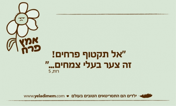 “אל תקטוף פרחים! זה צער בעלי צמחים...”