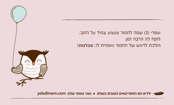 עופרי )2( שמה לחמור צעצוע צמיד על הזנב.לוקח לה הרבה זמן.הולכת לראש של החמור ואומרת לו: סבלנות!