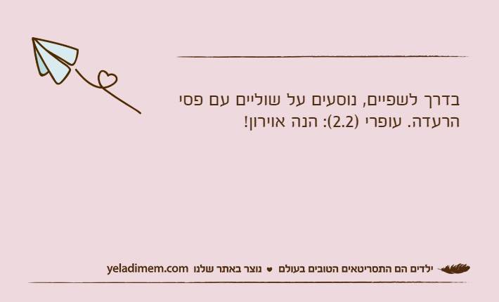 בדרך לשפיים, נוסעים על שוליים עם פסי הרעדה. עופרי )2.2(: הנה אוירון!