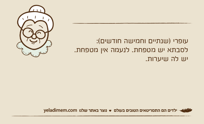 עופרי )שנתיים וחמישה חודשים(:לסבתא יש מטפחת. לנעמה אין מטפחת.יש לה שיערות.