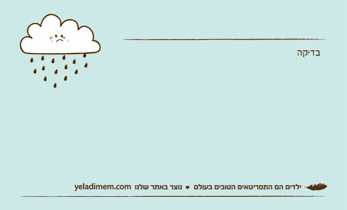 בדיקה