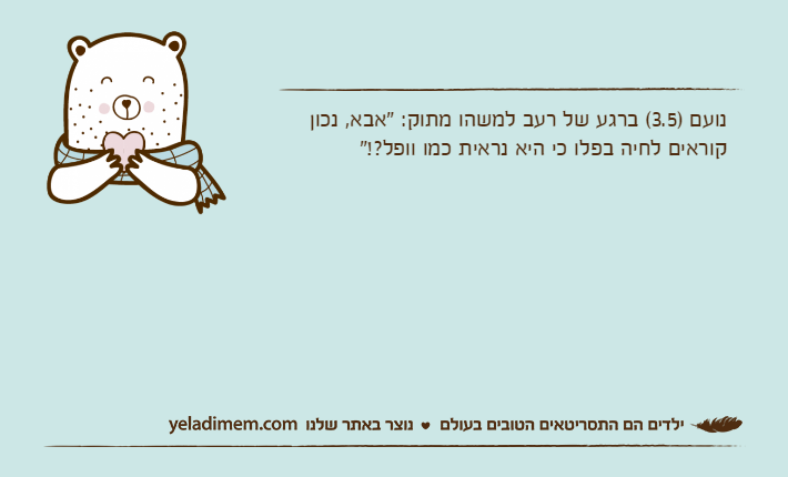 נועם )3.5( ברגע של רעב למשהו מתוק: "אבא, נכון קוראים לחיה בפלו כי היא נראית כמו וופל?!"