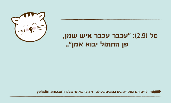 טל )2.9(: "עכבר עכבר איש שמן,             פן החתול יבוא אמן"..