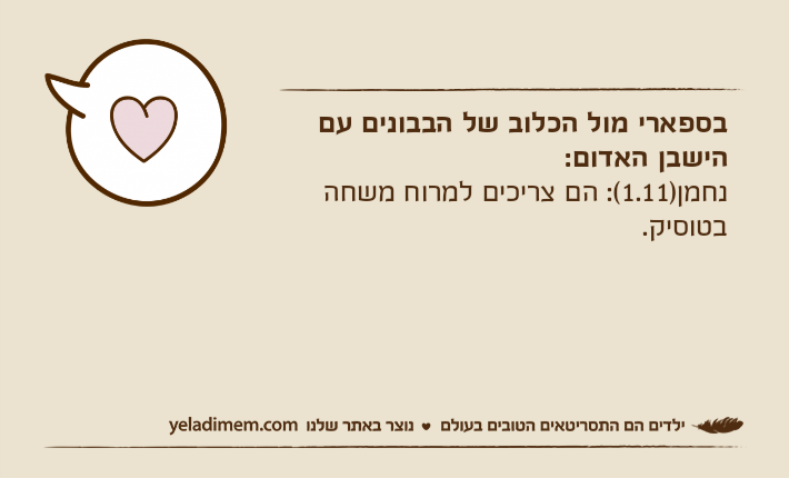 בספארי מול הכלוב של הבבונים עם הישבן האדום:נחמן)1.11(: הם צריכים למרוח משחה בטוסיק.
