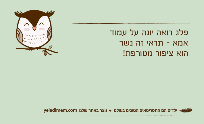פלג רואה יונה על עמודאמא - תראי זה נשרהוא ציפור מטורפת!