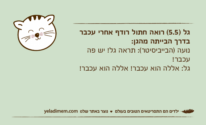 גל )5.5( רואה חתול רודף אחרי עכבר בדרך הבייתה מהגן:נועה )הבייביסיטר(: תראה גל! יש פה עכבר!גל: אללה הוא עכבר! אללה הוא עכבר!