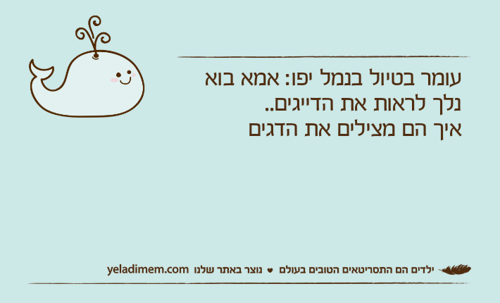 עומר בטיול בנמל יפו: אמא בוא נלך לראות את הדייגים..איך הם מצילים את הדגים