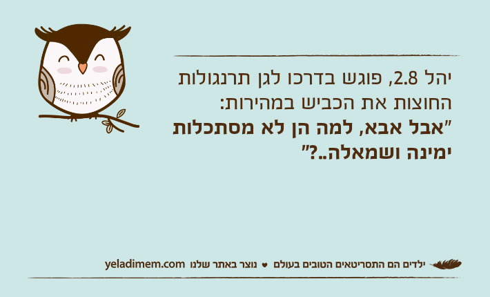יהל 2.8, פוגש בדרכו לגן תרנגולות החוצות את הכביש במהירות:"אבל אבא, למה הן לא מסתכלות ימינה ושמאלה..?"