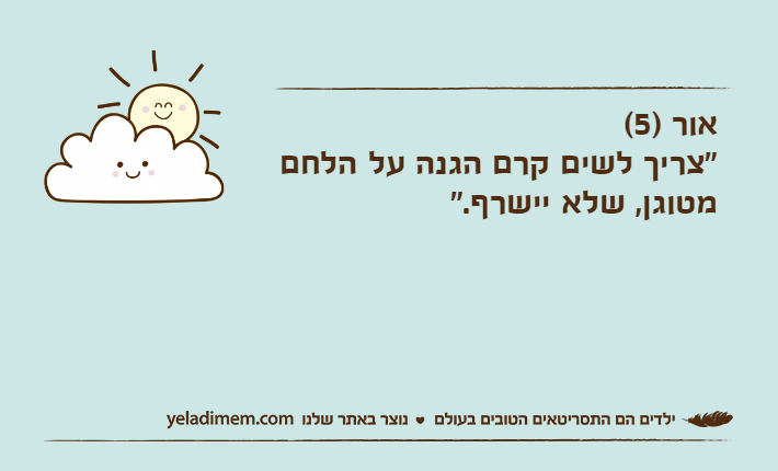 אור )5( "צריך לשים קרם הגנה על הלחם מטוגן, שלא יישרף."