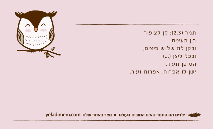 תמר )2.3(: קן לציפור,בין העצים.ובקן לה שלוש ביצים,ובכל ליצן )...(הס פן תעיר,ישן לו אפרוח, אפרוח זעיר.