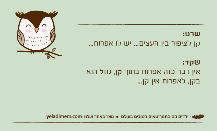 שרנו:קן לציפור בין העצים... יש לו אפרוח...שקד:אין דבר כזה אפרוח בתוך קן, גוזל הוא בקן, לאפרוח אין קן...