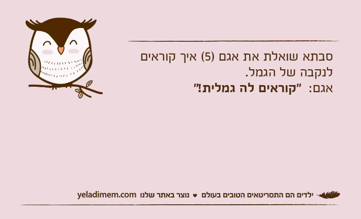 סבתא שואלת את אגם )5( איך קוראים לנקבה של הגמל. אגם:  "קוראים לה גמלית!"