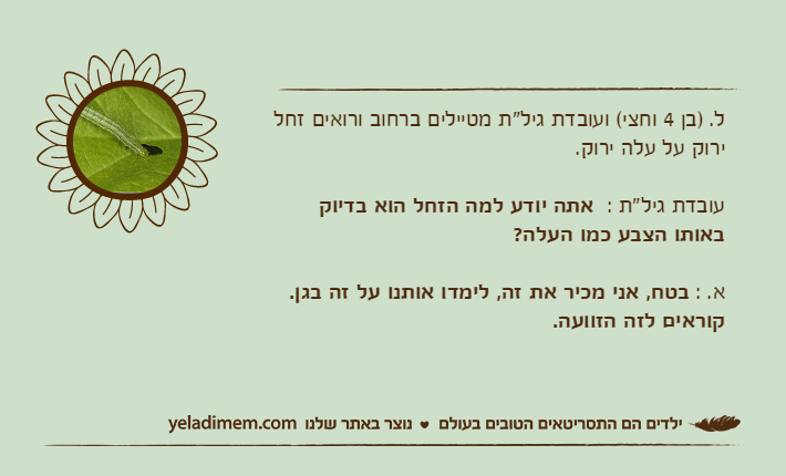 ל. )בן 4 וחצי( ועובדת גיל"ת מטיילים ברחוב ורואים זחל ירוק על עלה ירוק. עובדת גיל"ת :  אתה יודע למה הזחל הוא בדיוק באותו הצבע כמו העלה?א. : בטח, אני מכיר את זה, לימדו אותנו על זה בגן. קוראים לזה הזוועה.