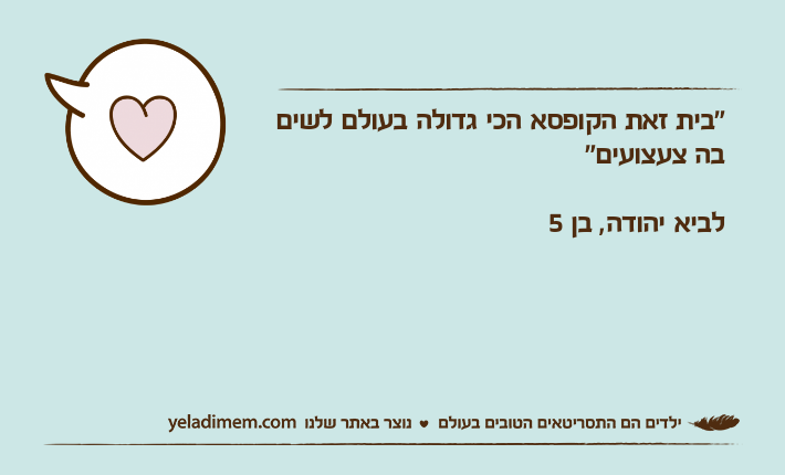 "בית זאת הקופסא הכי גדולה בעולם לשים בה צעצועים"לביא יהודה, בן 5