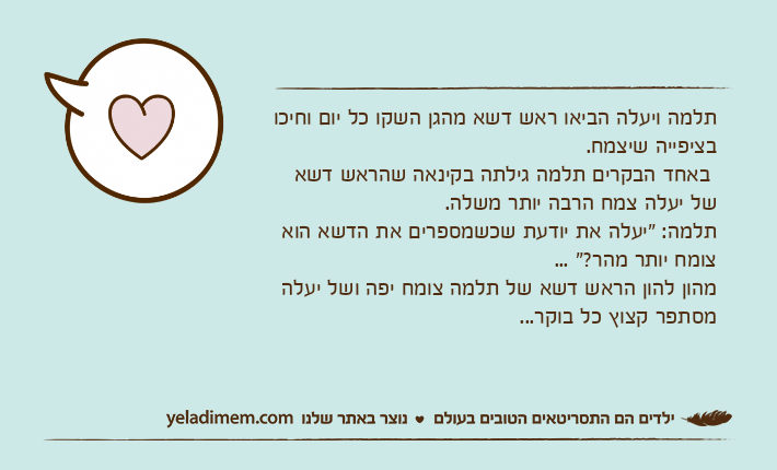 תלמה ויעלה הביאו ראש דשא מהגן השקו כל יום וחיכו בציפייה שיצמח. באחד הבקרים תלמה גילתה בקינאה שהראש דשא של יעלה צמח הרבה יותר משלה.תלמה: "יעלה את יודעת שכשמספרים את הדשא הוא צומח יותר מהר?" ... מהון להון הראש דשא של תלמה צומח יפה ושל יעלה מסתפר קצוץ כל בוקר...