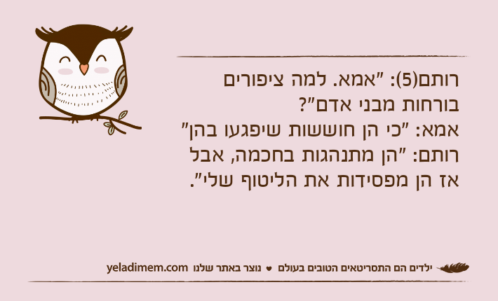 רותם)5(: "אמא. למה ציפורים בורחות מבני אדם"?אמא: "כי הן חוששות שיפגעו בהן"רותם: "הן מתנהגות בחכמה, אבל אז הן מפסידות את הליטוף שלי".