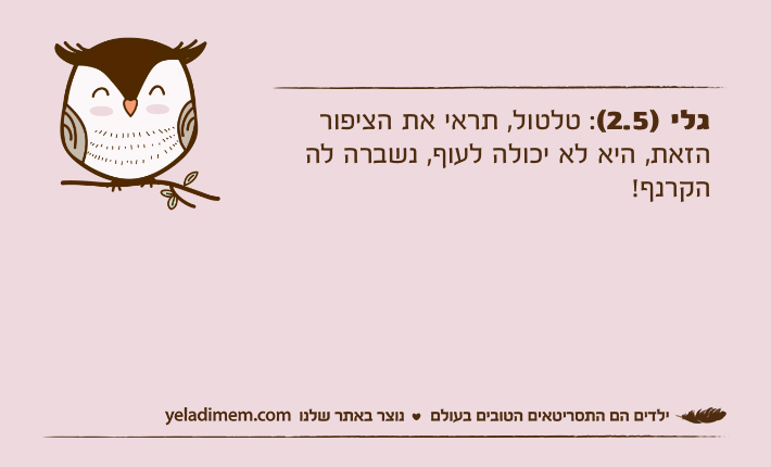 גלי )2.5(: טלטול, תראי את הציפור הזאת, היא לא יכולה לעוף, נשברה לה הקרנף!