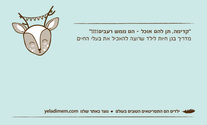 "קדימה, תן להם אוכל - הם ממש רעבים!!!!"מדריך בגן חיות לילד שרוצה להאכיל את בעלי החיים