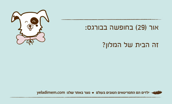 אור )29( בחופשה בבורגס:זה הבית של המלון?