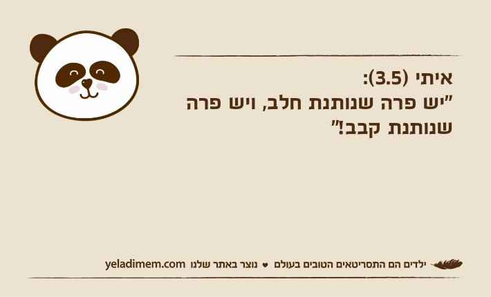 איתי )3.5(:"יש פרה שנותנת חלב, ויש פרה שנותנת קבב!"