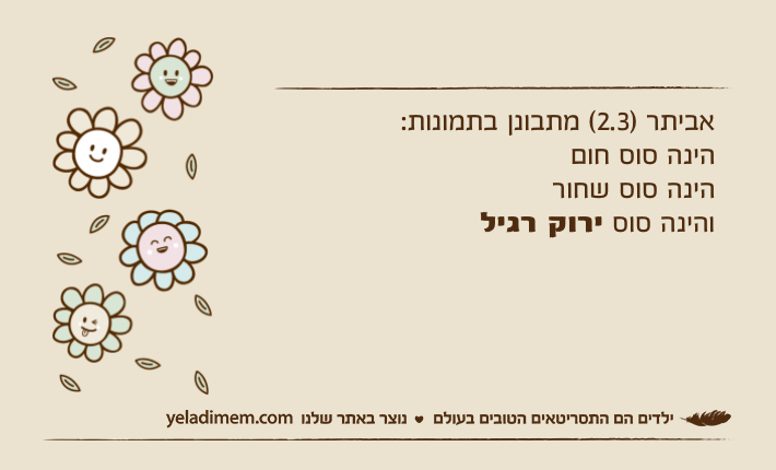 אביתר )2.3( מתבונן בתמונות:הינה סוס חוםהינה סוס שחורוהינה סוס ירוק רגיל