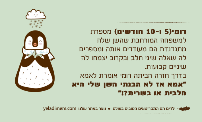 רומי)5 ו-10 חודשים( מספרת למשפחה המורחבת שהשן שלה מתנדנדת הם מעודדים אותה ומספרים לה שאלה שיני חלב ובקרוב יצמחו לה שיניים קבועות.בדרך חזרה הביתה רומי אומרת לאמא "אמא אז לא הבנתי השן שלי היא חלבית או בשרית?!”