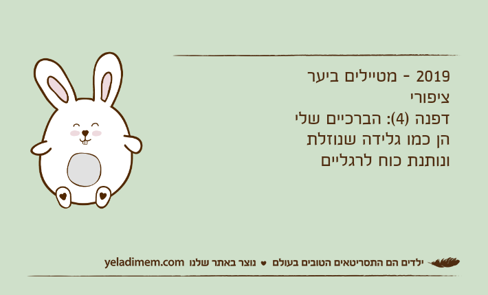 2019 - מטיילים ביער ציפורידפנה )4(: הברכיים שלי הן כמו גלידה שנוזלת ונותנת כוח לרגליים