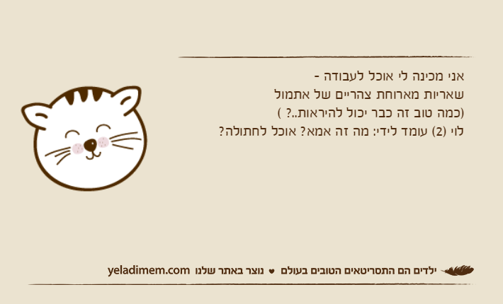 אני מכינה לי אוכל לעבודה -שאריות מארוחת צהריים של אתמול)כמה טוב זה כבר יכול להיראות..? (לוי )2( עומד לידי: מה זה אמא? אוכל לחתולה?