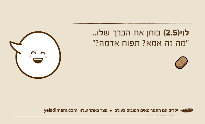 לוי)2.5( בוחן את הברך שלו.."מה זה אמא? תפוח אדמה?"🥔
