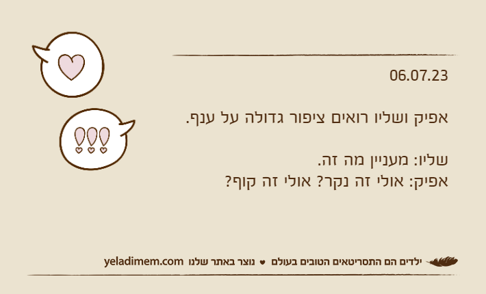 06.07.23אפיק ושליו רואים ציפור גדולה על ענף.שליו: מעניין מה זה.אפיק: אולי זה נקר? אולי זה קוף?
