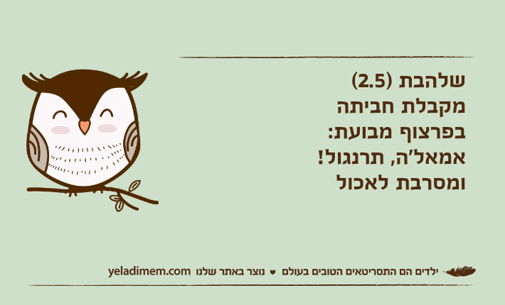 שלהבת )2.5( מקבלת חביתהבפרצוף מבועת:אמאל'ה, תרנגול!ומסרבת לאכול