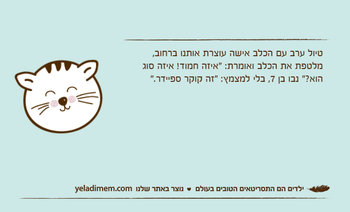 טיול ערב עם הכלב אישה עוצרת אותנו ברחוב, מלטפת את הכלב ואומרת: “איזה חמוד! איזה סוג הוא?” נבו בן 7, בלי למצמץ: “זה קוקר ספיידר.”